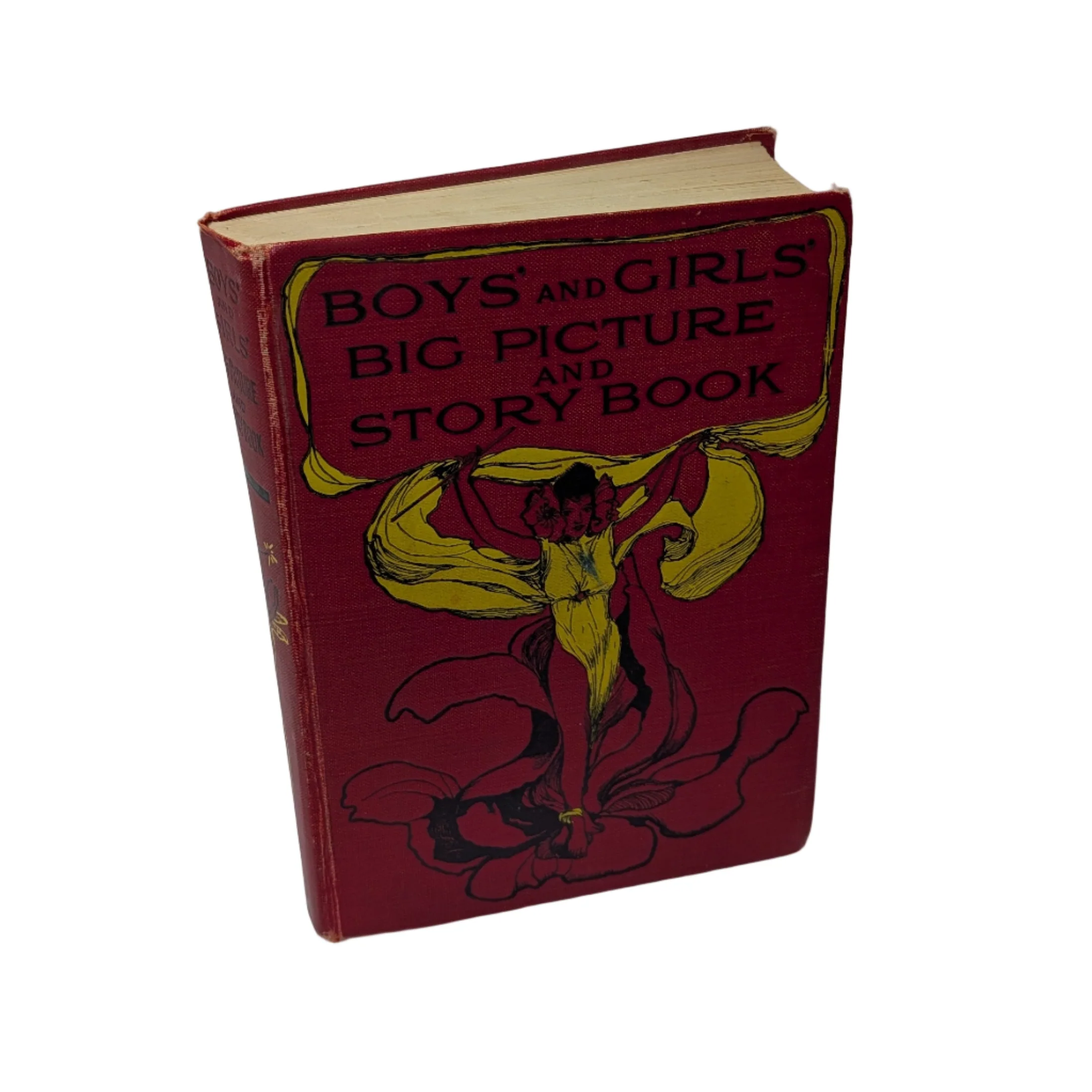 Boys' and Girls' Big Picture and Story Book