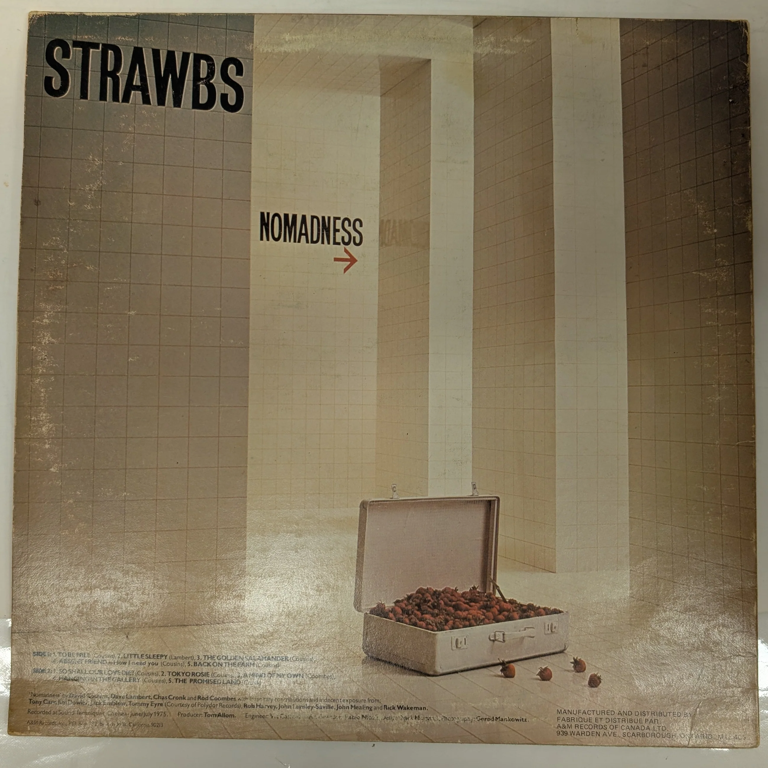 Strawbs "Nomadness" Vinyl - Image 2